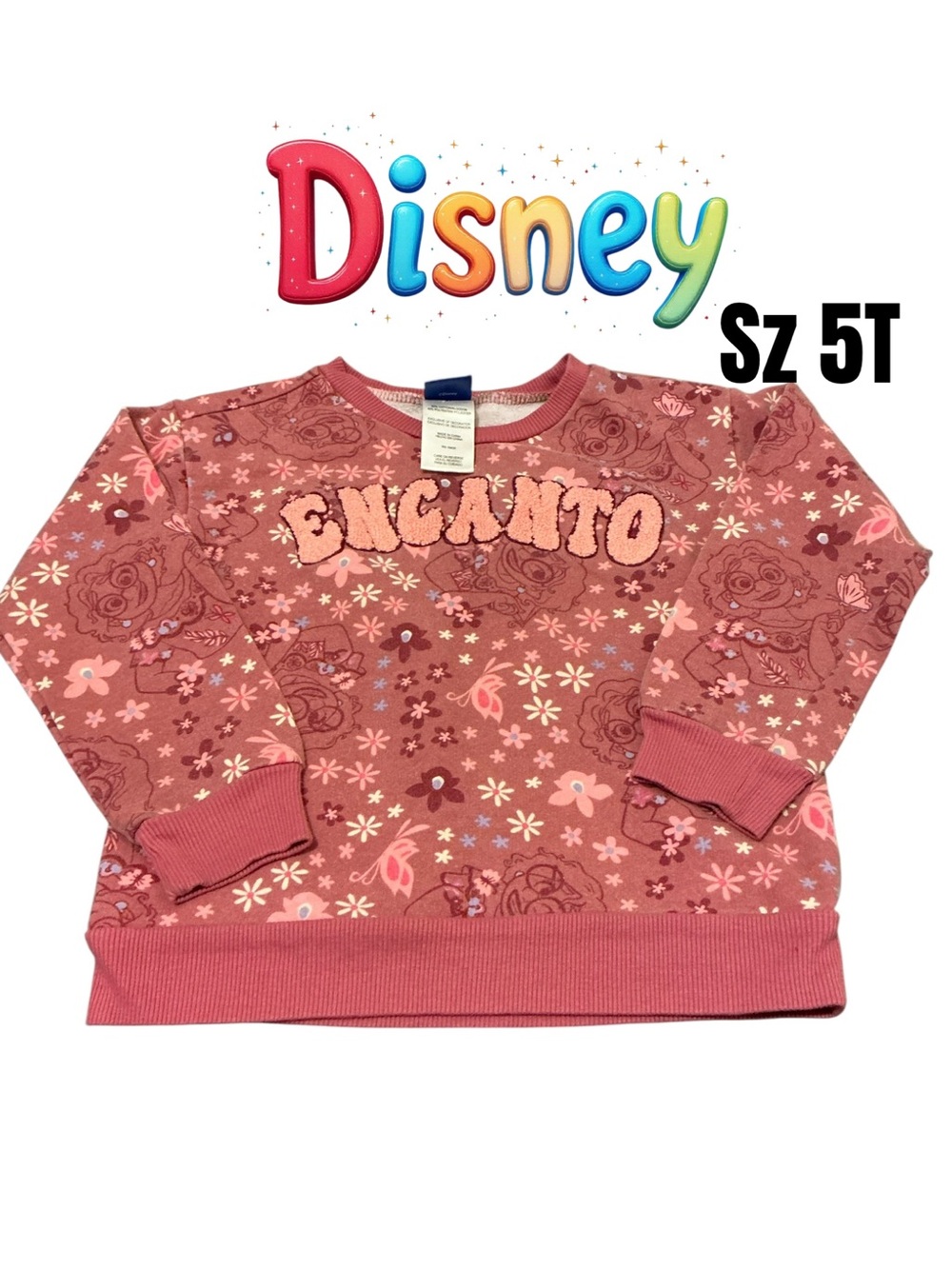 Disney Encanto Floral Dusty Pink Sweatshirt